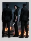 The Assassin and the Mafia Princes
