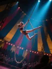 Cirque Mystique: The Trapeze Artist's Secret