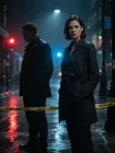 The Detective's Partner
