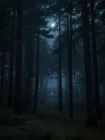 The Pines